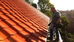 Dakpannen leggen Dronten