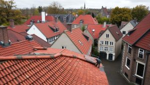 Dakpannen leggen Steenwijk